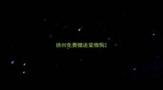 徐州免费赠送宠物狗