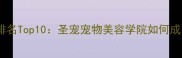 宠物美容学校排名Top10圣宠宠物美容学院如何成为行业标杆