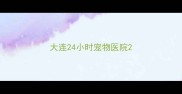 大连24小时宠物医院