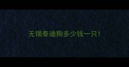 无锡泰迪狗多少钱一只