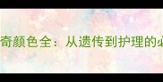 白色哈士奇颜色全从遗传到护理的必备指南