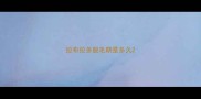 拉布拉多脱毛期是多久