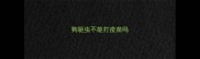 狗驱虫不能打疫苗吗