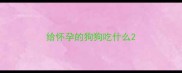 给怀孕的狗狗吃什么