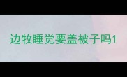 边牧睡觉要盖被子吗