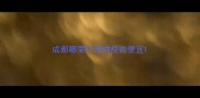 成都哪里打宠物疫苗便宜