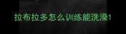 拉布拉多怎么训练能洗澡