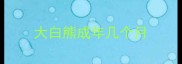 大白熊成年几个月