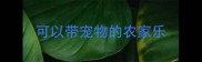 可以带宠物的农家乐