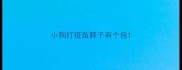 小狗打疫苗脖子有个包