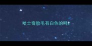 哈士奇胎毛有白色的吗