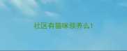 社区有猫咪领养么