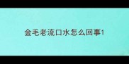 金毛老流口水怎么回事