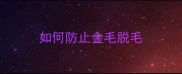 如何防止金毛脱毛