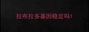 拉布拉多基因稳定吗