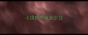 小狗做节育多少钱