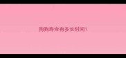 狗狗寿命有多长时间