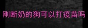 刚断奶的狗可以打疫苗吗