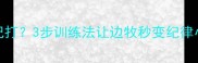 边牧不记打3步训练法让边牧秒变纪律小将军