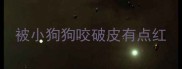 被小狗狗咬破皮有点红