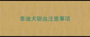 泰迪犬驱虫注意事项