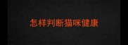 怎样判断猫咪健康