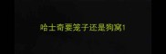 哈士奇要笼子还是狗窝