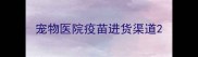 宠物医院疫苗进货渠道