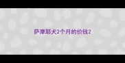 萨摩耶犬2个月的价钱