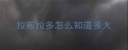 拉布拉多怎么知道多大