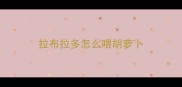 拉布拉多怎么喂胡萝卜