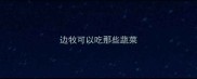 边牧可以吃那些蔬菜