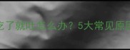 拉布拉多犬吃了就吐怎么办5大常见原因及应对措施