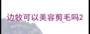 边牧可以美容剪毛吗