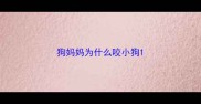狗妈妈为什么咬小狗