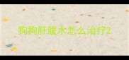 狗狗肝腹水怎么治疗