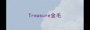 Treasure金毛