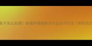 小狗虱子怎么处理家庭护理指南及专业应对方法附防治步骤