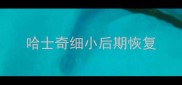 哈士奇细小后期恢复
