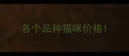 各个品种猫咪价格
