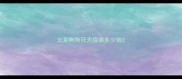 北京狗狗狂犬疫苗多少钱