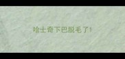 哈士奇下巴脱毛了