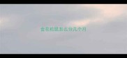 金花松鼠怎么分几个月