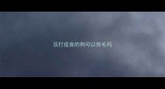没打疫苗的狗可以剪毛吗