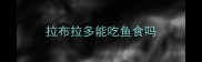 拉布拉多能吃鱼食吗