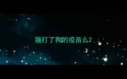 猫打了狗的疫苗么