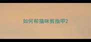 如何帮猫咪剪指甲