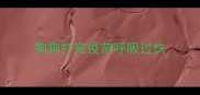 狗狗打完疫苗呼吸过快