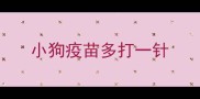 小狗疫苗多打一针