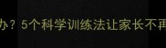 泰迪犬在家乱咬东西怎么办5个科学训练法让家长不再头疼附详细解决方案